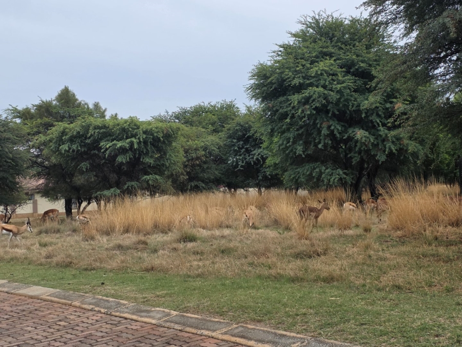 To Let 3 Bedroom Property for Rent in Wilkoppies North West